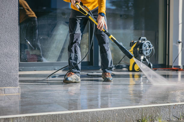 Best Pressure Washing Driveway  in Elsmere, KY