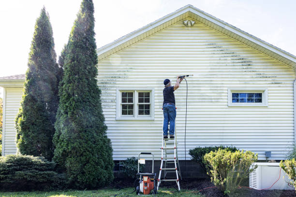 Best Commercial Building Pressure Washing  in Elsmere, KY