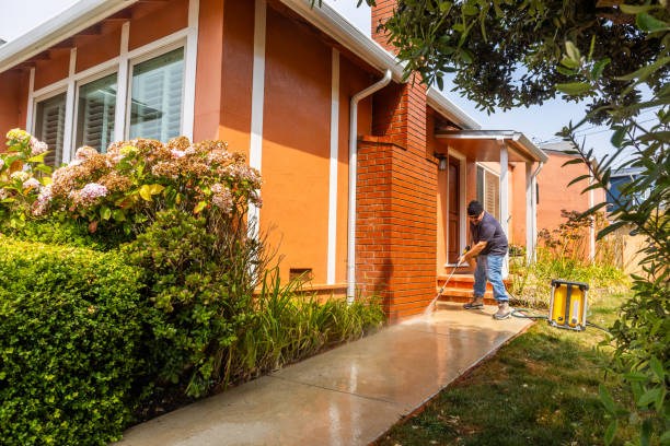 Best Affordable Power Washing  in Elsmere, KY