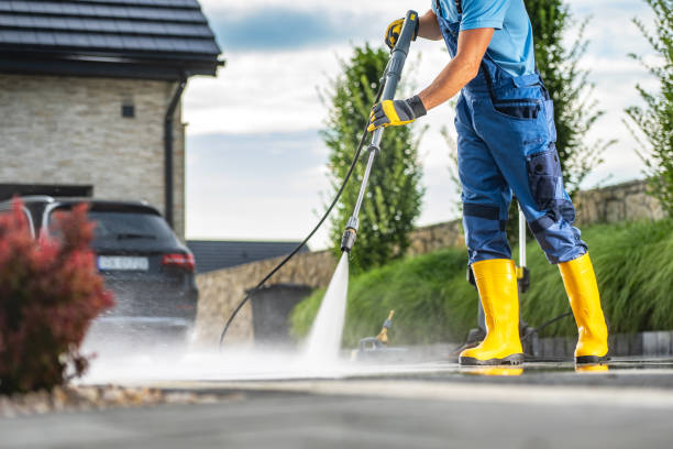 Best Roof Pressure Washing  in Elsmere, KY